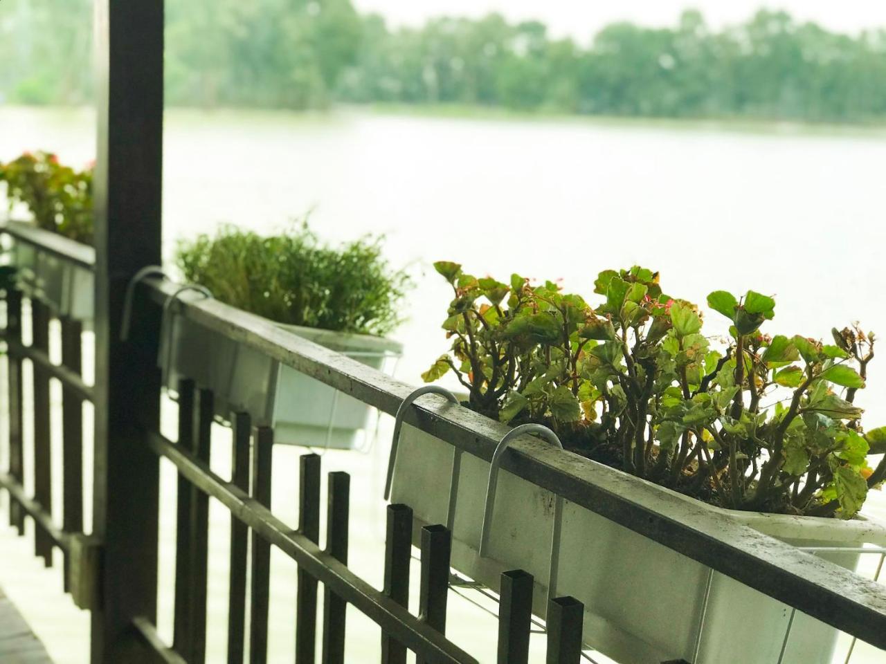Vinh Gia Airport Lakeview Hostel Hanoi Bagian luar foto
